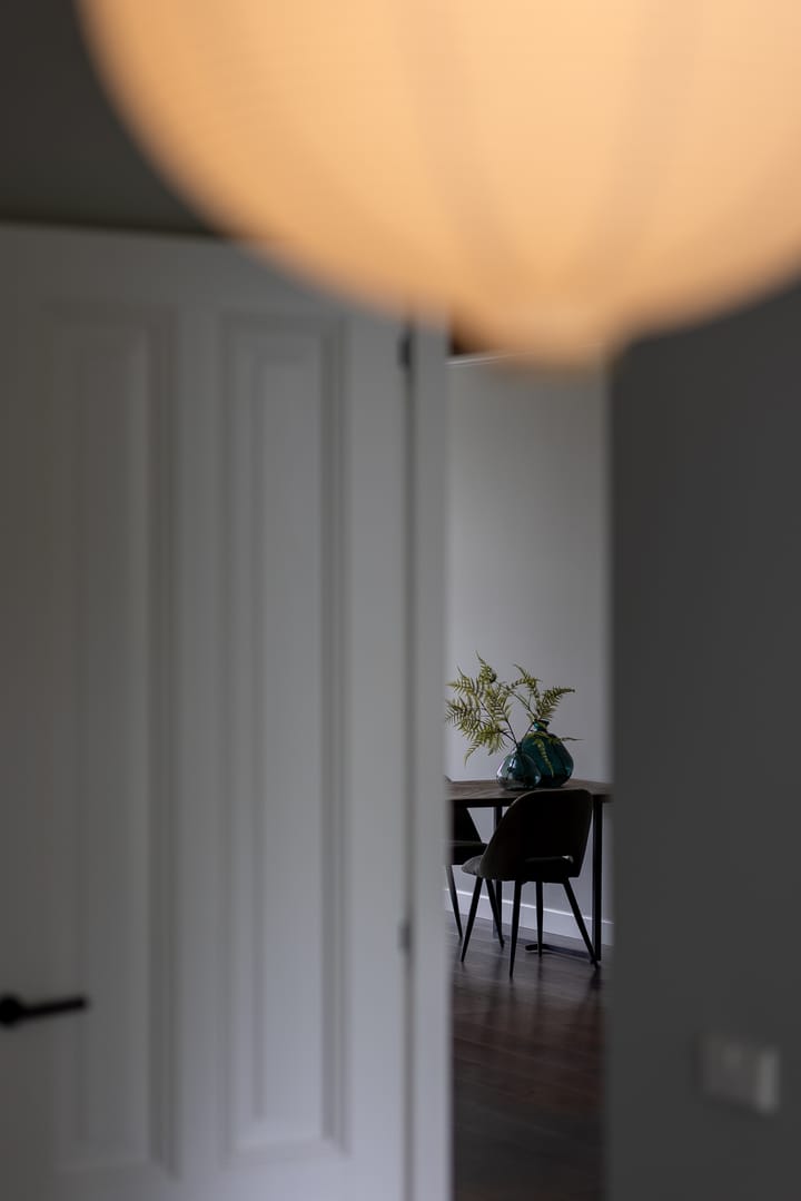 Foto 36 van Heemraadssingel 237-B