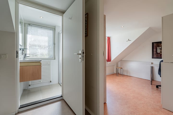 Foto 39 van Albert Schweitzerstraat 3