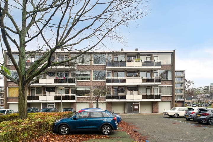 Julianaplantsoen 101