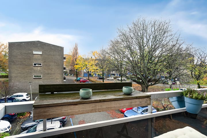 Foto 19 van Julianaplantsoen 101