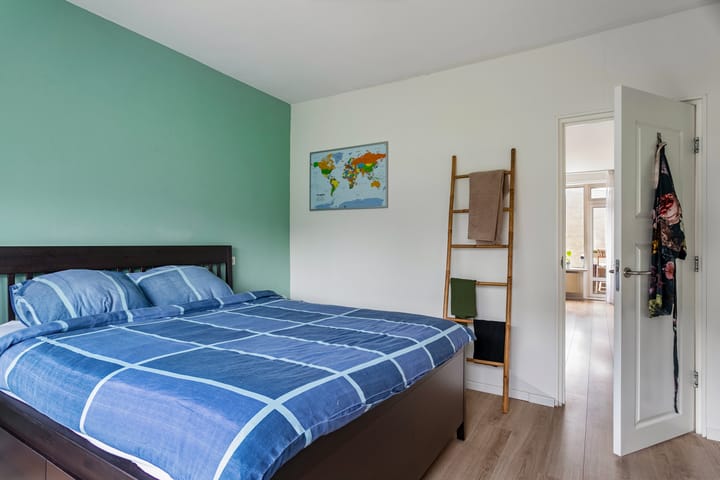 Foto 26 van Julianaplantsoen 101