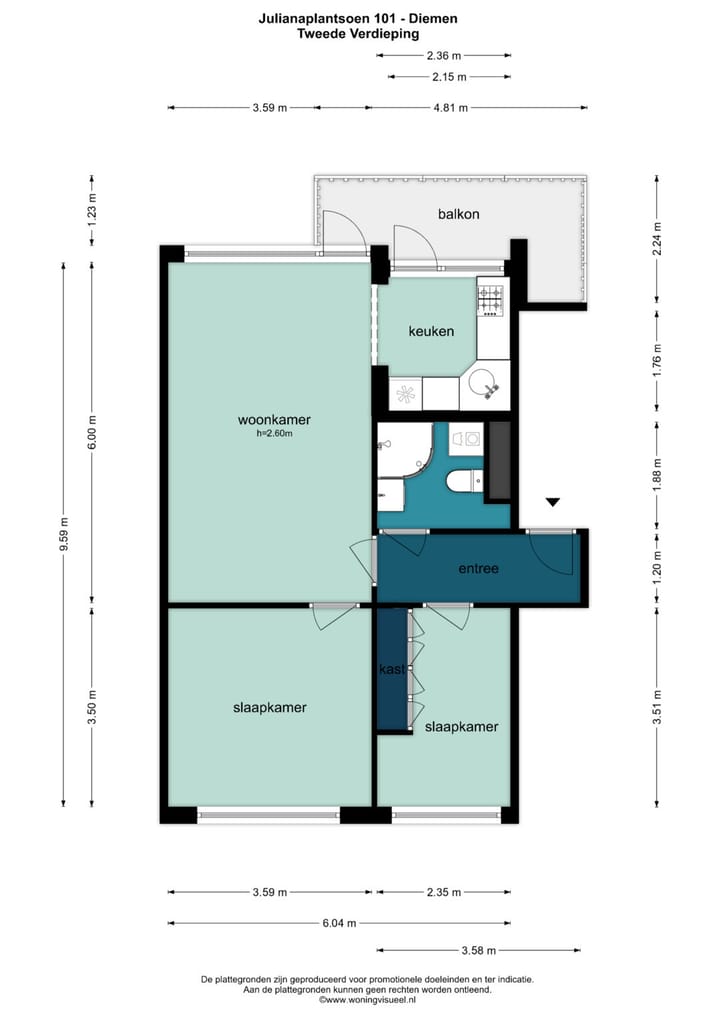 Foto 35 van Julianaplantsoen 101