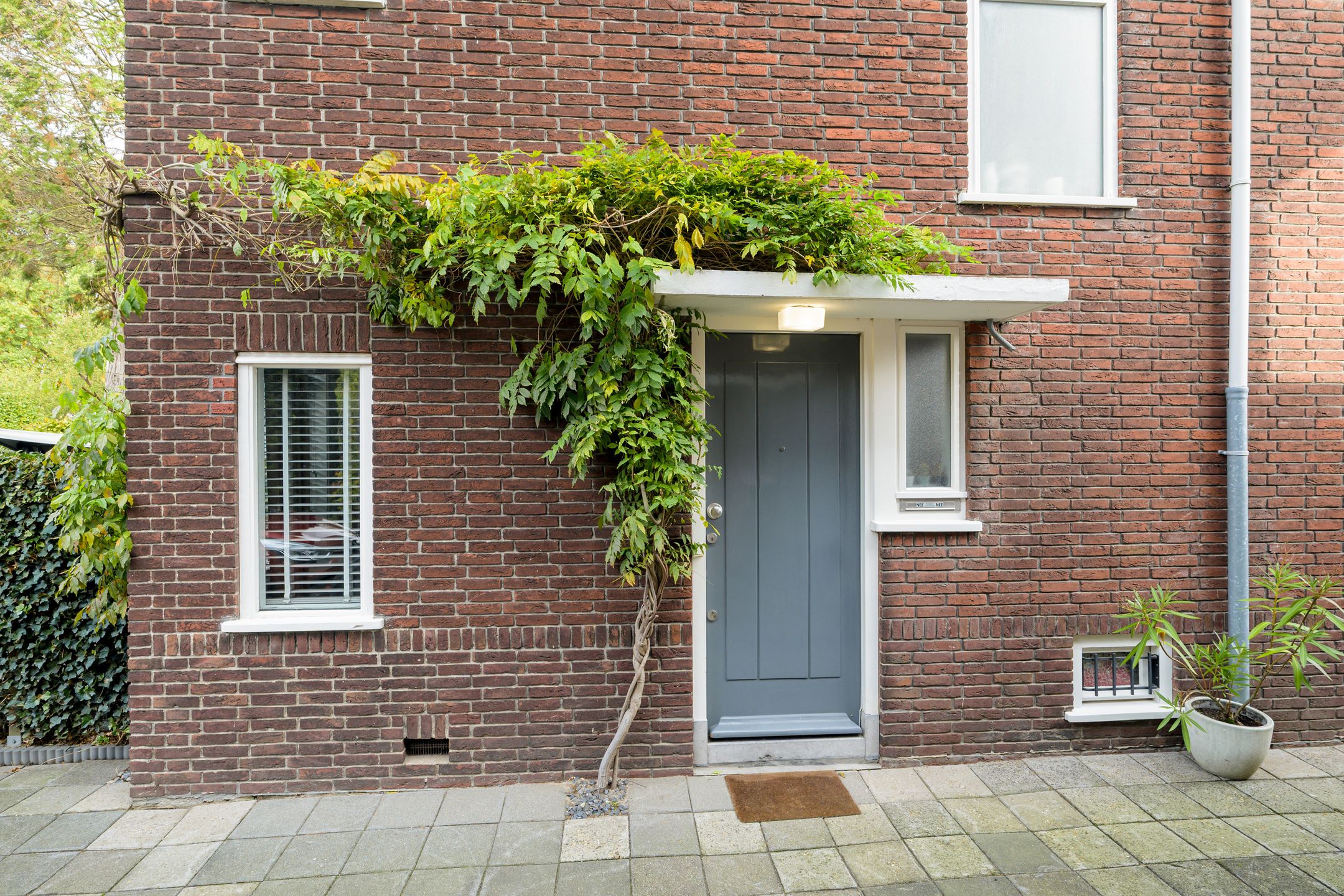 Photo 39 of Jacob Catssingel 5