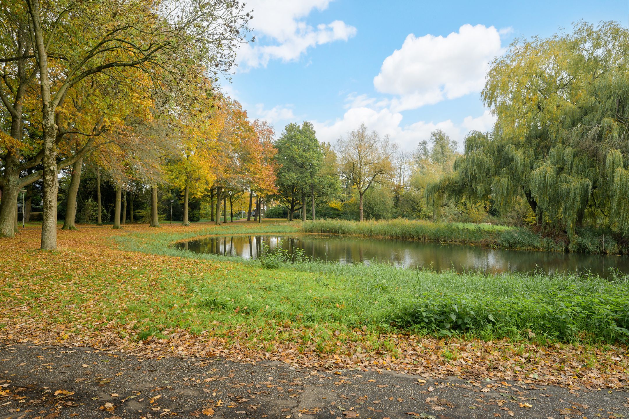 Photo 45 of Jacob Catssingel 5