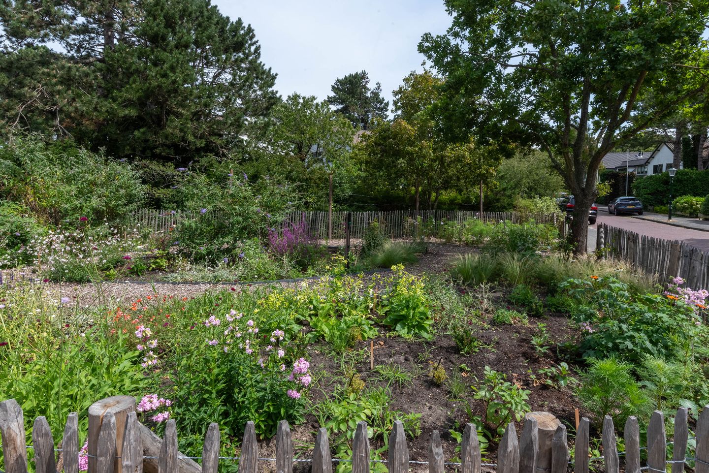 Foto 44 van Bramenlaan 6-D