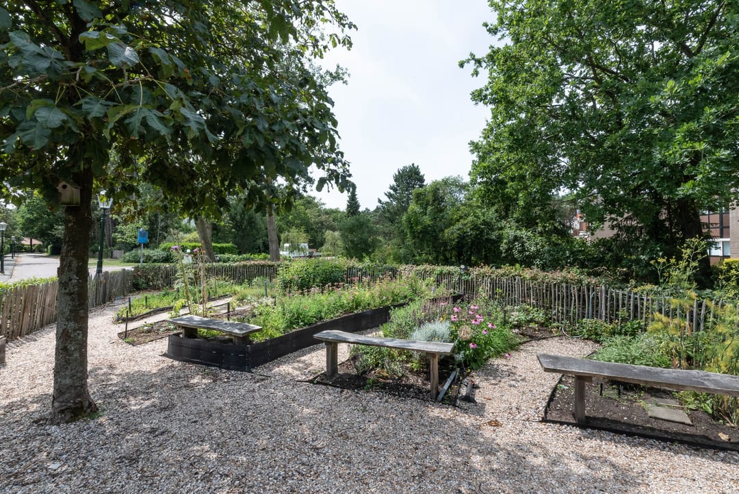 Foto 46 van Bramenlaan 6-D