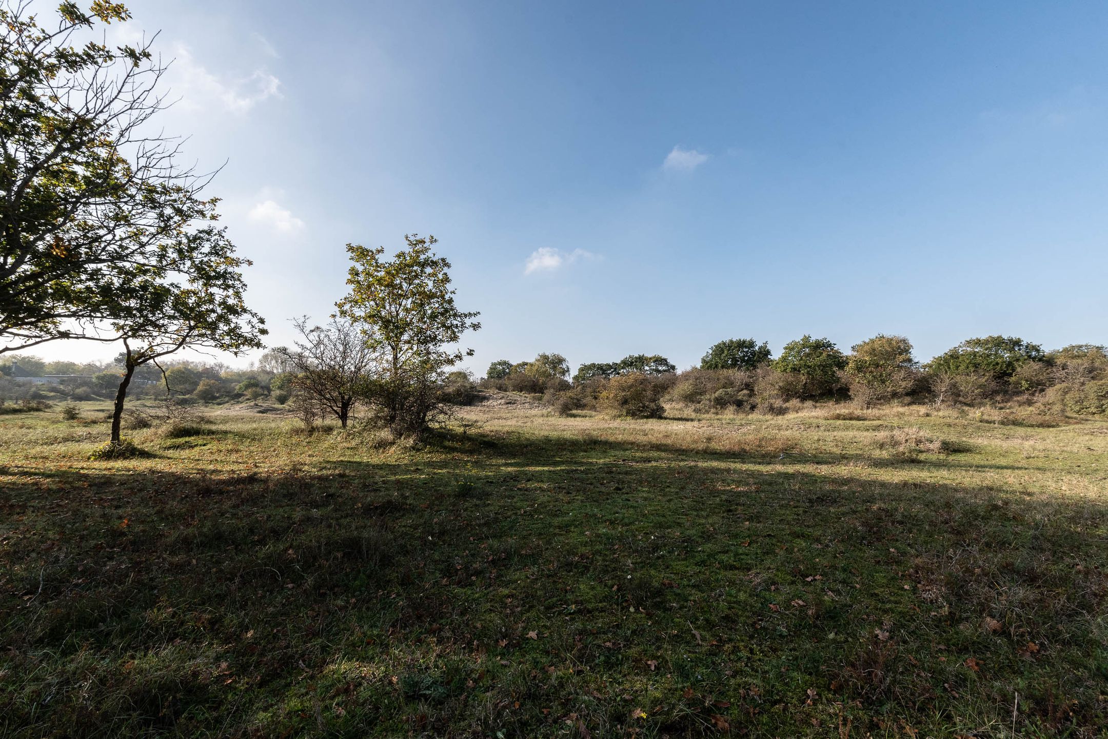 Foto 48 van Bramenlaan 6-D