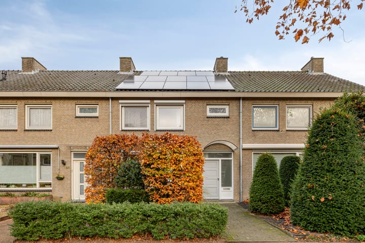 Foto 4 van de Koppele 56