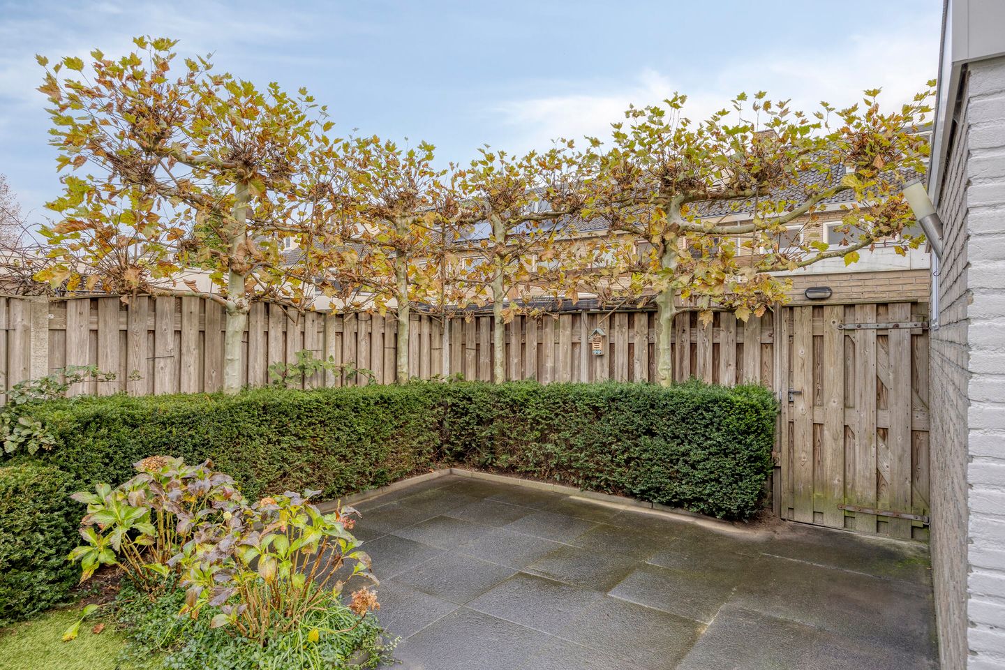 Foto 40 van de Koppele 56