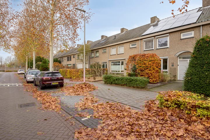 Foto 46 van de Koppele 56