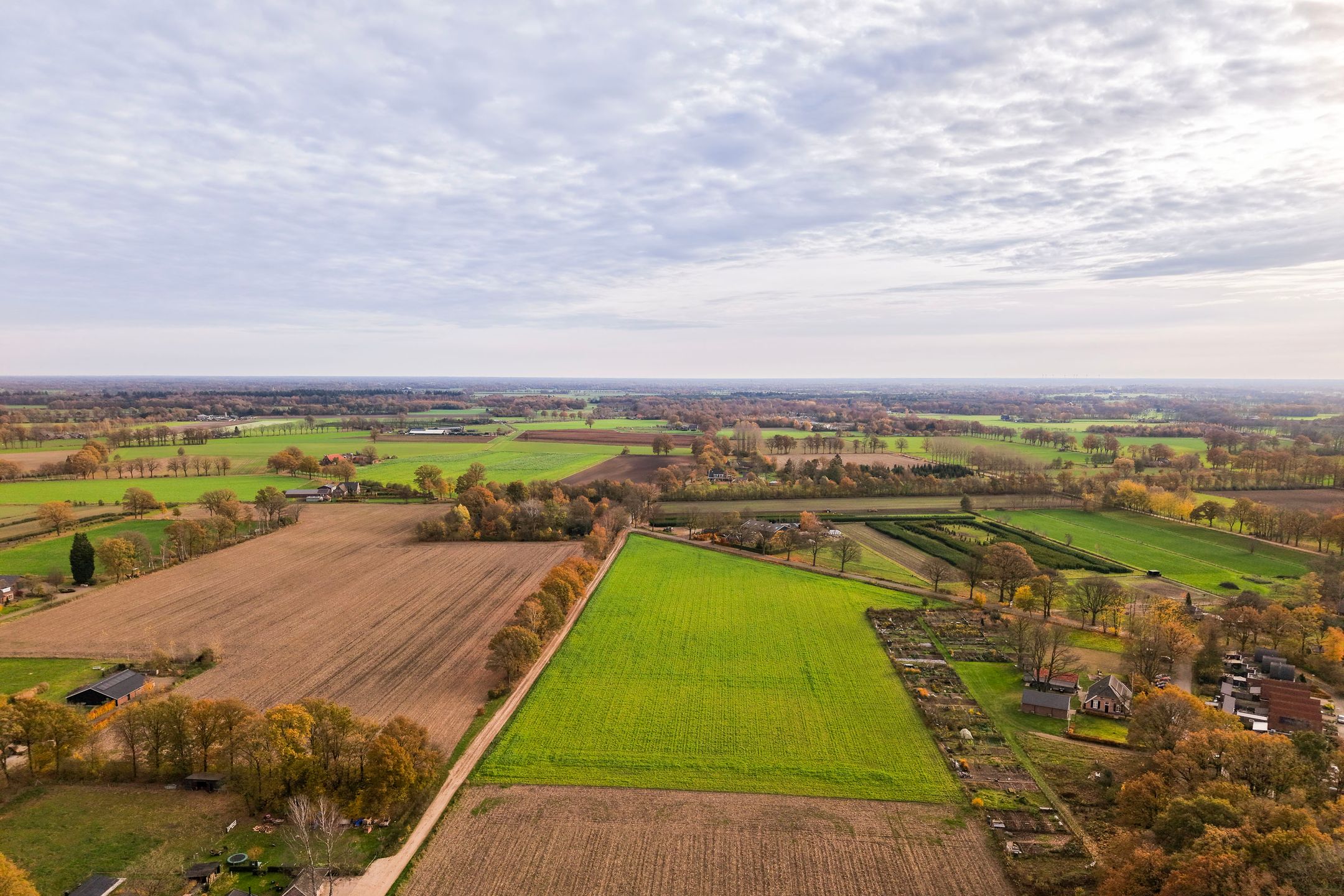 Foto 9 van Wisselt 34