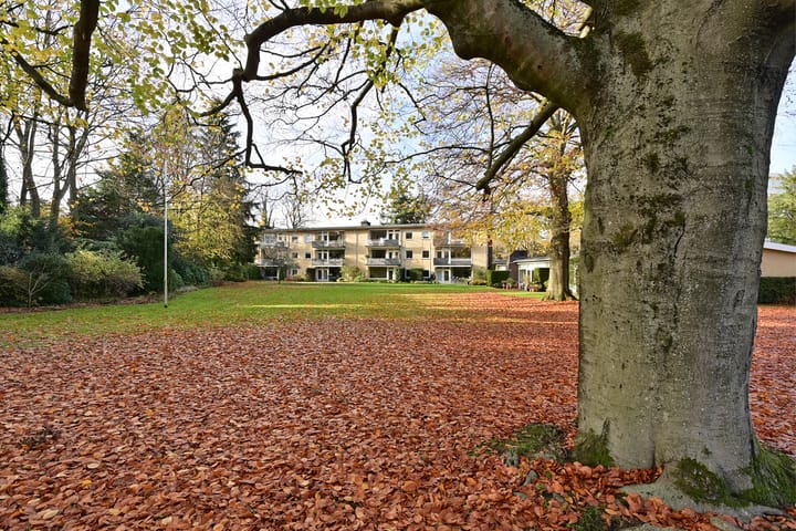 Foto 9 van Utrechtseweg 34-F