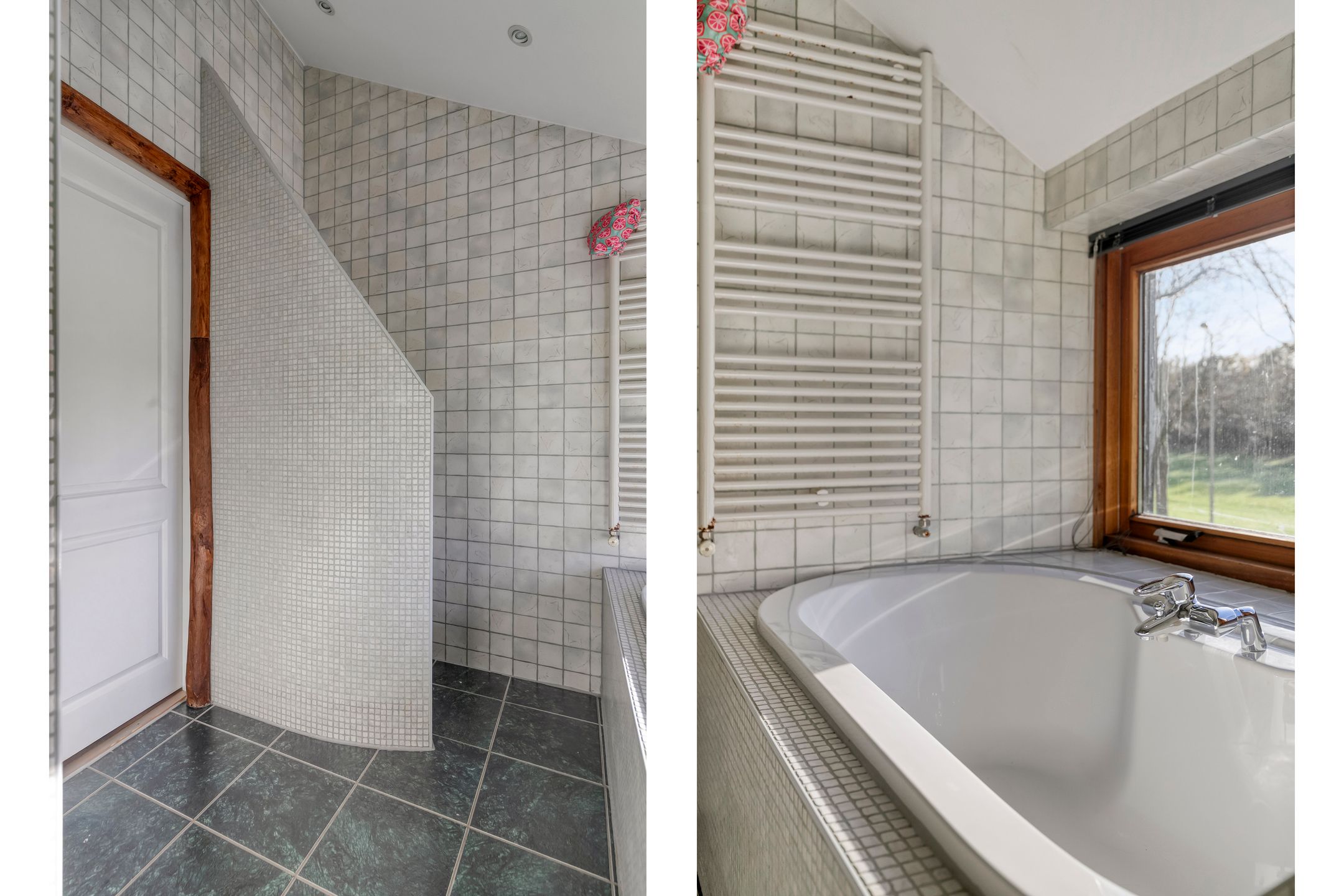 Foto 33 van Tholenseweg 6