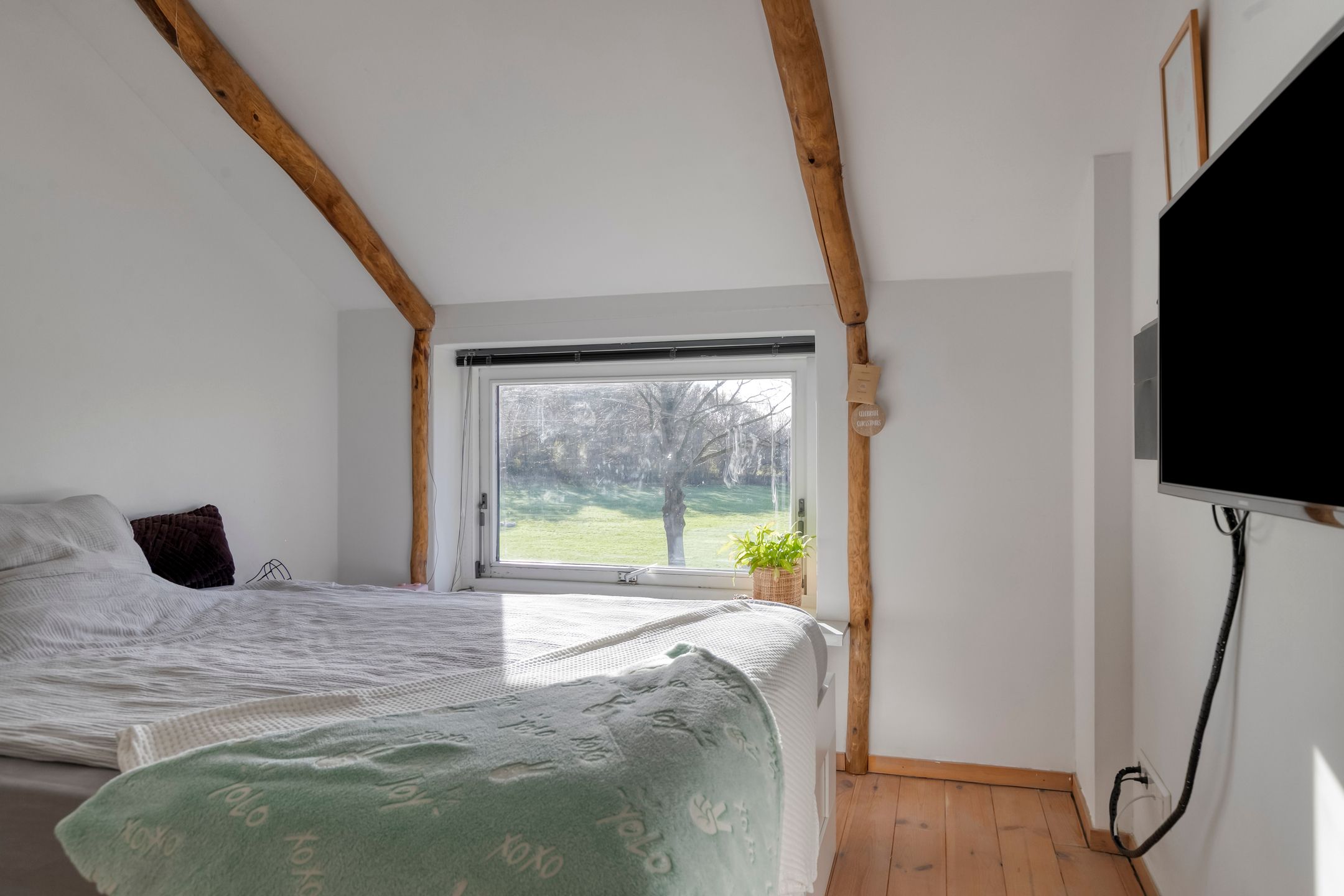 Foto 36 van Tholenseweg 6