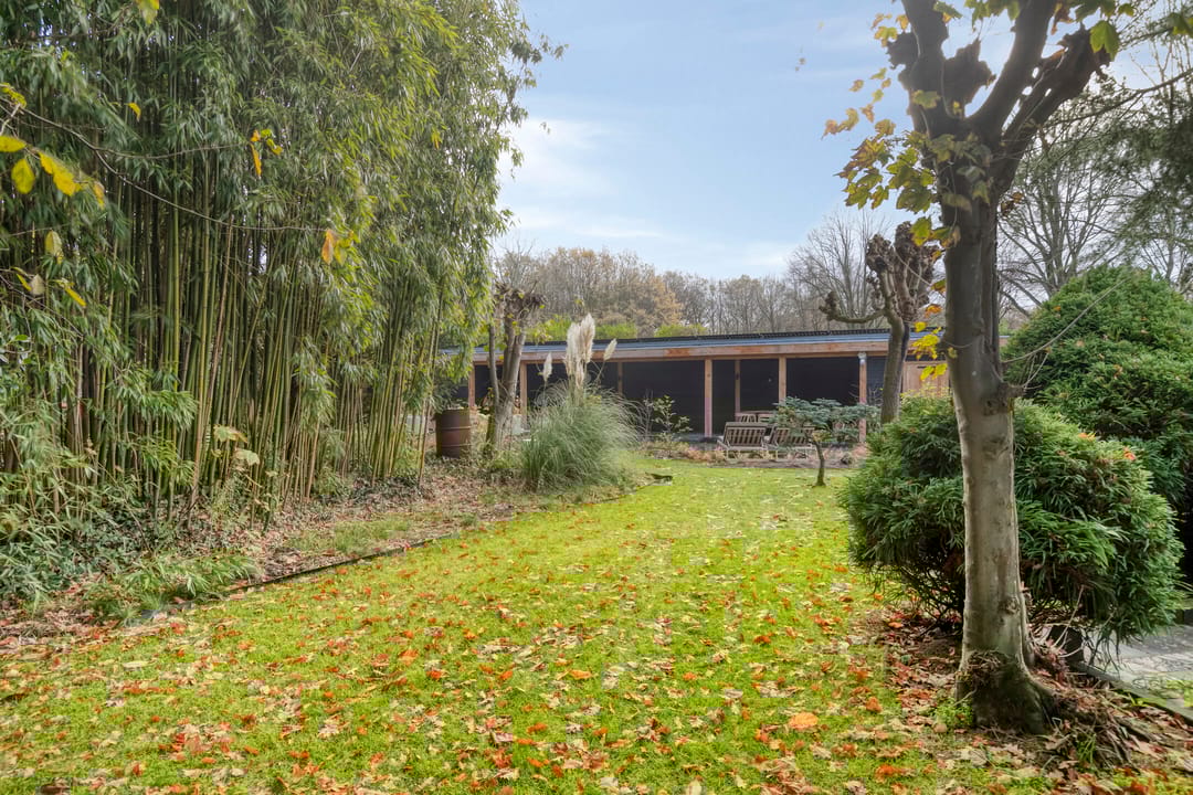 Foto 38 van Tholenseweg 6