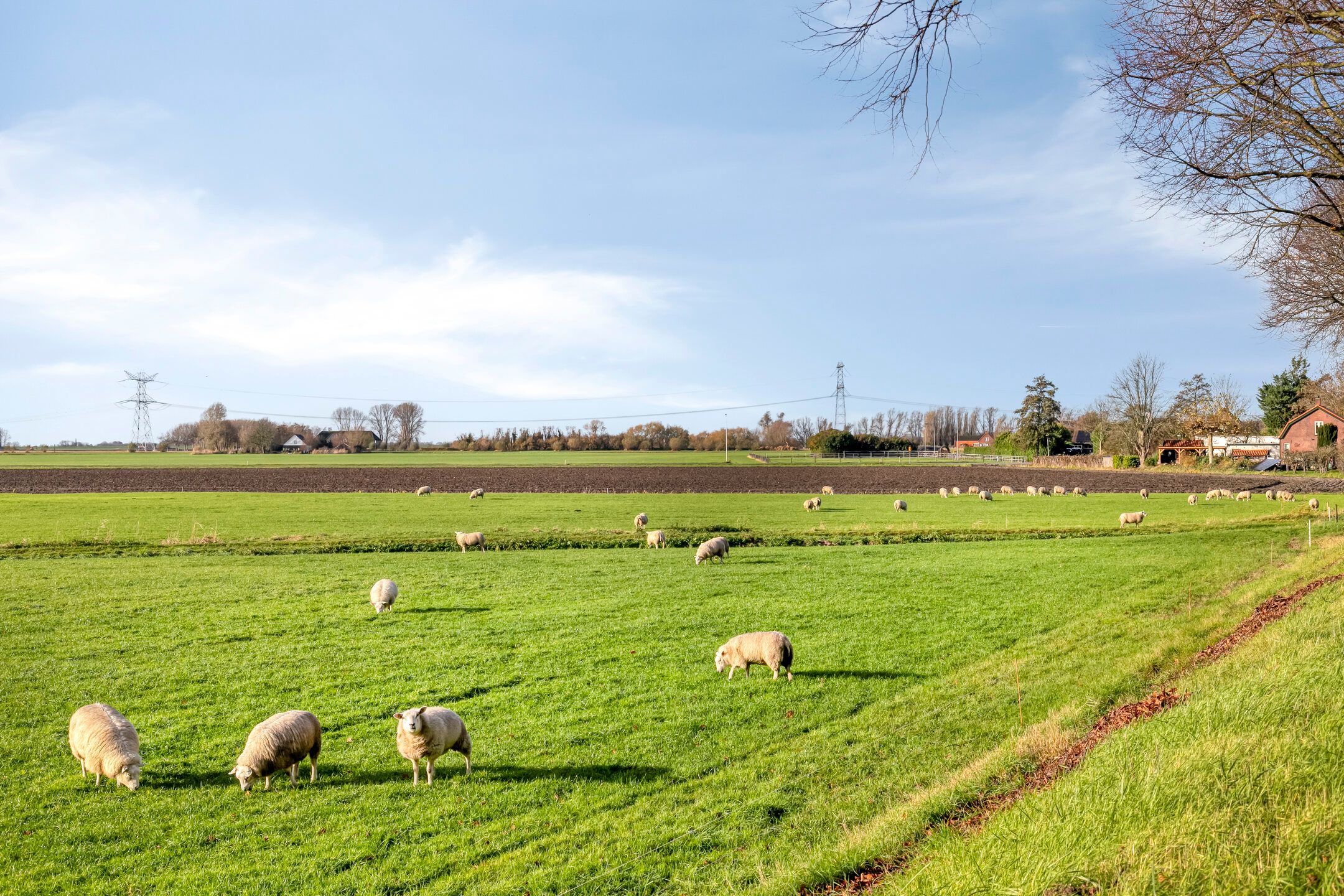 Foto 51 van Tholenseweg 6