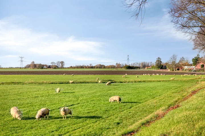 Foto 51 van Tholenseweg 6