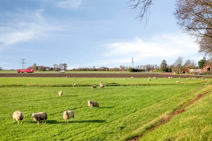 Foto 54 van Tholenseweg 6