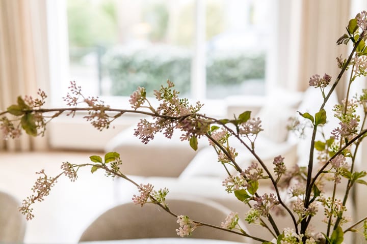 Photo 18 of Hogestraat 7