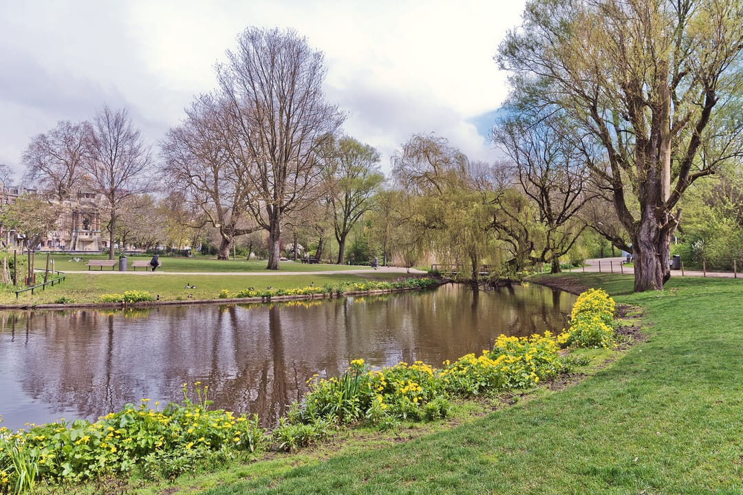 Foto 26 van Tweede Jan Steenstraat 92-H