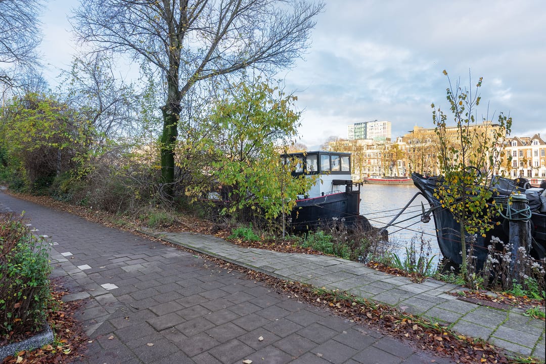 Foto 28 van Tweede Jan Steenstraat 92-H