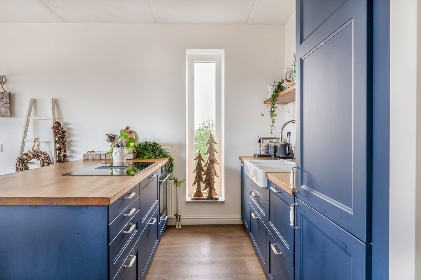 Foto 10 van Duinvallei 3