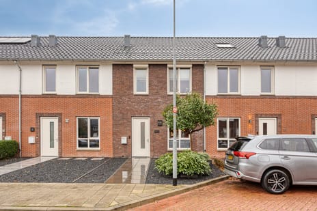 undefined main image