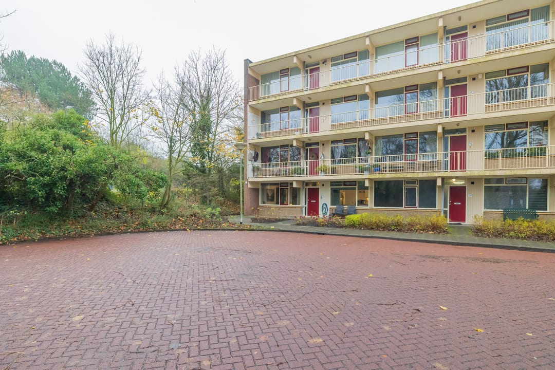 Foto 23 van Bramenvlak 30