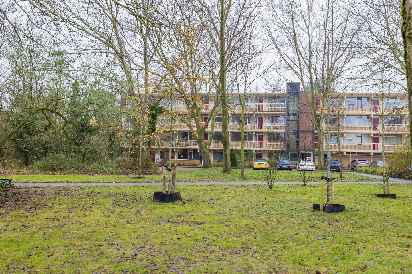 Foto 25 van Bramenvlak 30