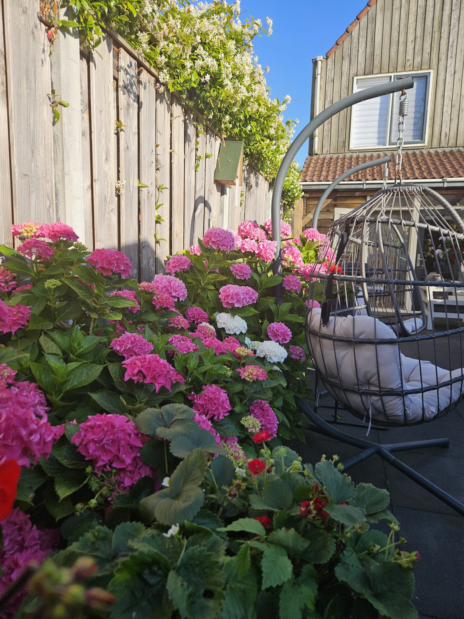 Foto 24 van Goudhaver 58