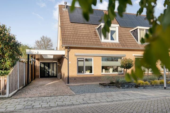 Foto 5 van De Aalscholver 10