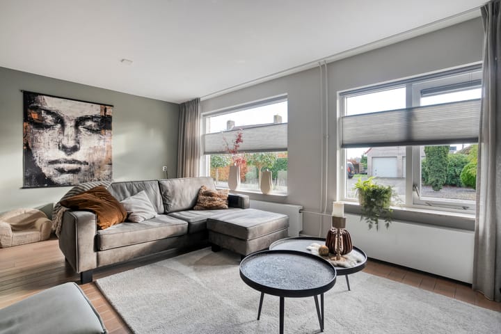 Foto 10 van De Aalscholver 10