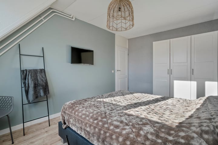 Foto 32 van De Aalscholver 10