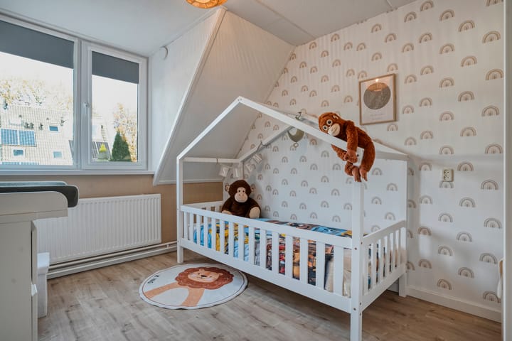 Foto 35 van De Aalscholver 10