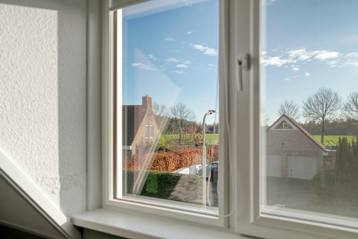 Foto 37 van De Aalscholver 10