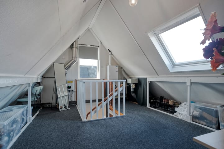 Foto 39 van De Aalscholver 10