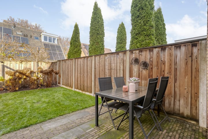 Foto 46 van De Aalscholver 10