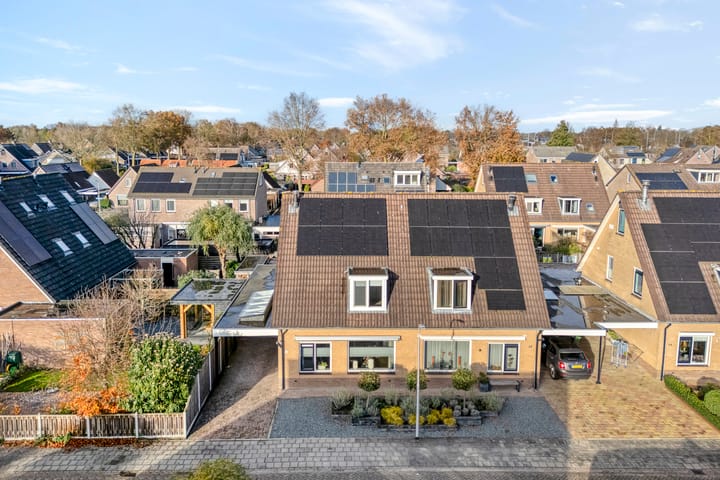 Foto 48 van De Aalscholver 10