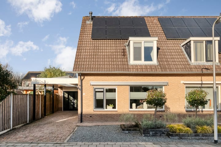 Foto 49 van De Aalscholver 10