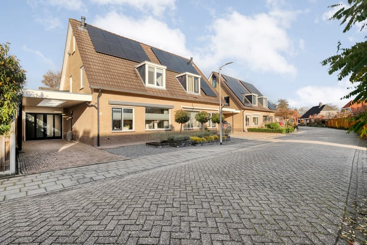 Foto 50 van De Aalscholver 10