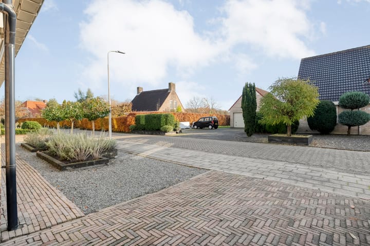 Foto 51 van De Aalscholver 10