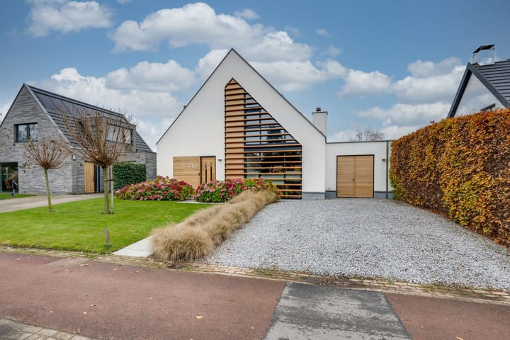 Schutsestraat 41-A main image