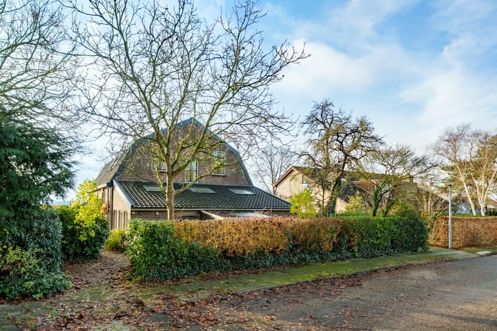 Foto 3 van Bergpad 1