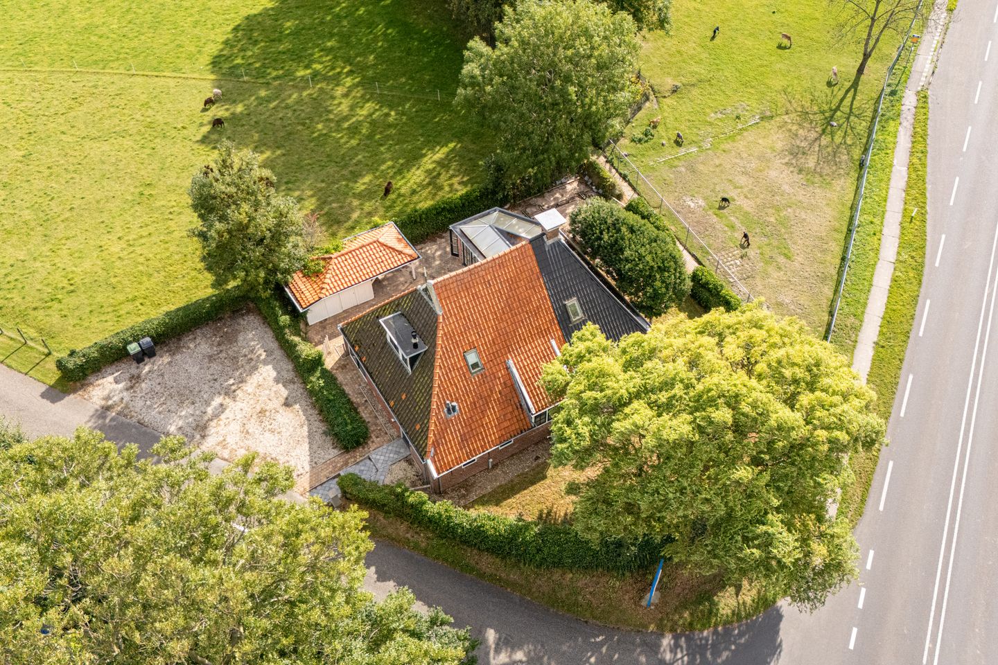 Foto 55 van De Terp 13