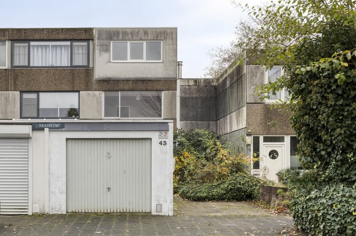 Foto 35 van Haagbeemd 43