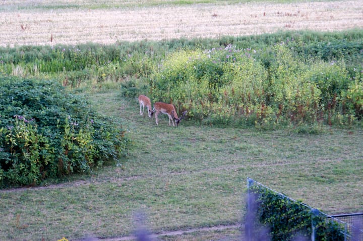 Photo 13 of Rijksstraatweg 248