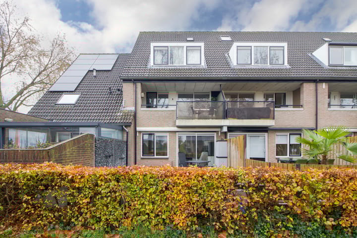 Foto 2 van Scholekster 4