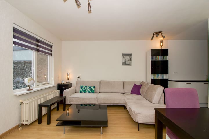 Foto 4 van Scholekster 4