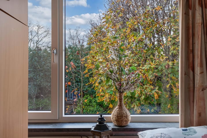 Foto 21 van Lobeliusstraat 11