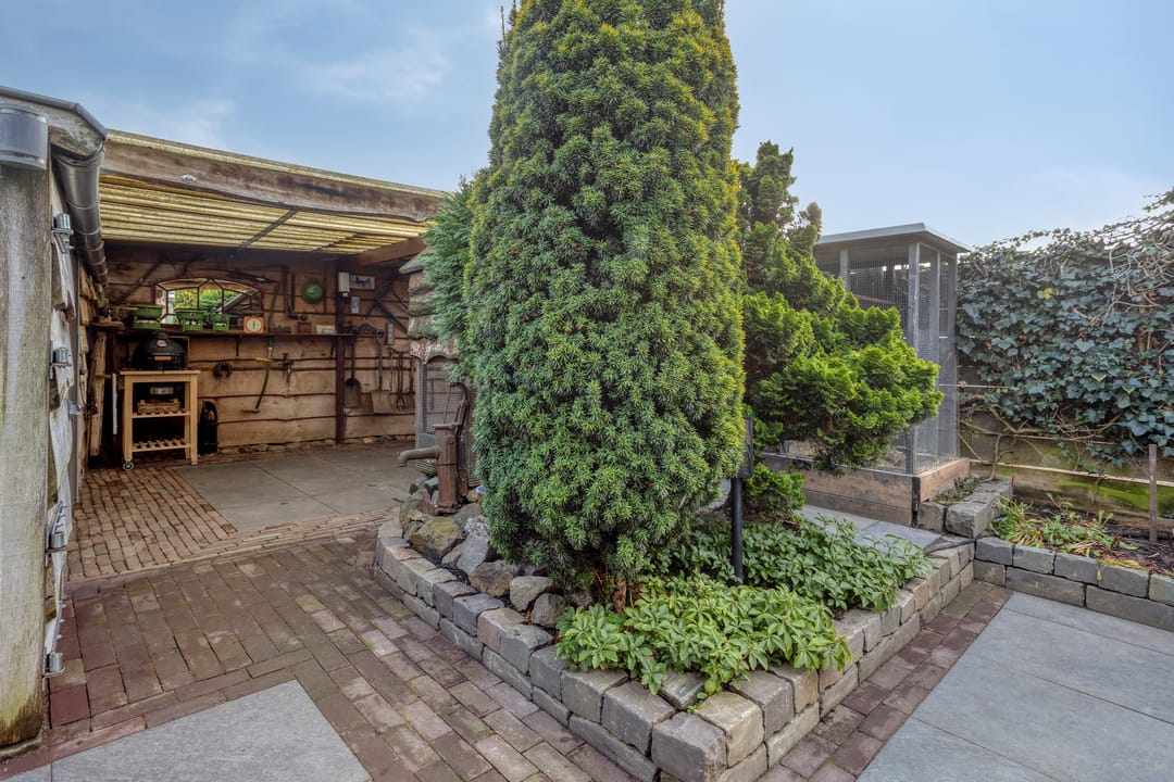 Foto 31 van Hoge Hofstraat 3